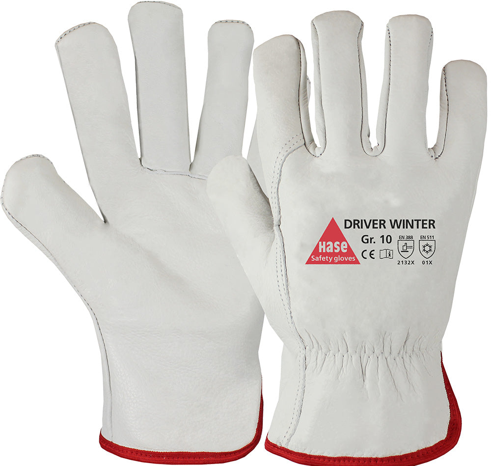 Driver Winter
