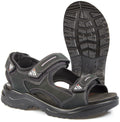 JALAS 2562 COOL